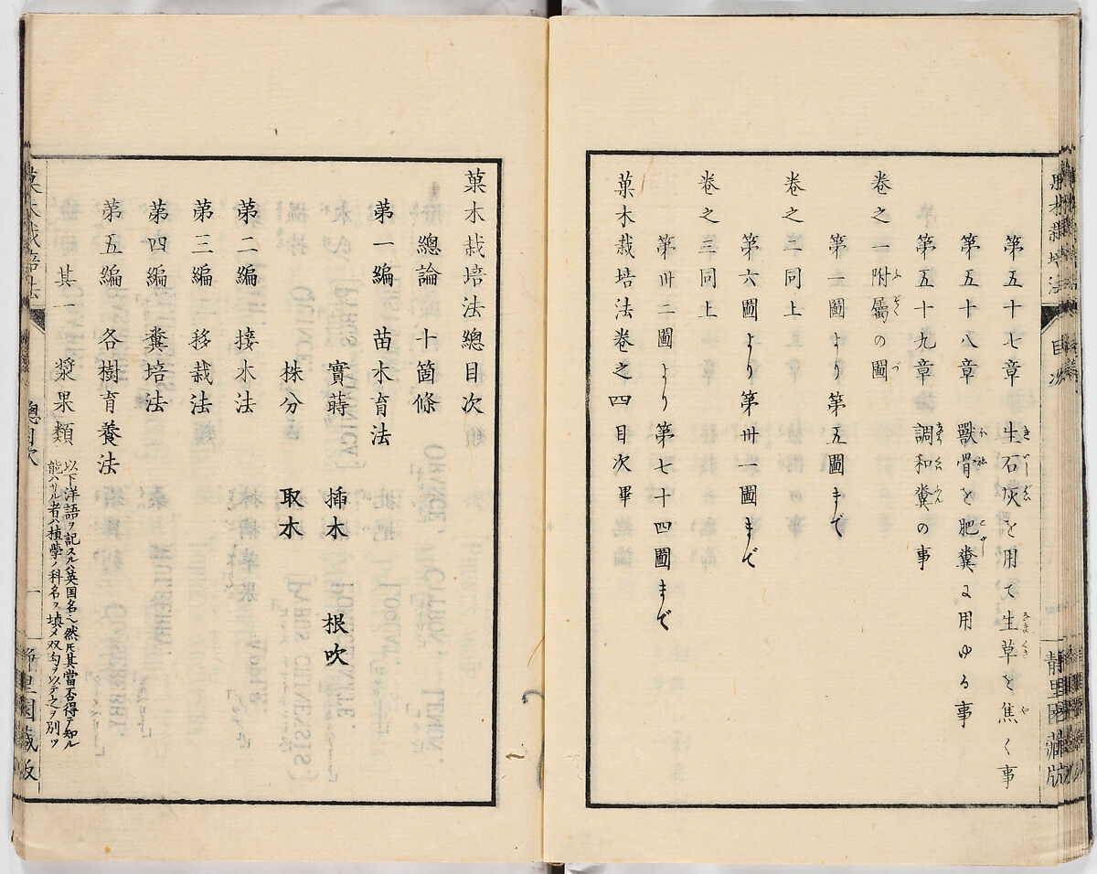 Illustrated book, Ink on paper, Japan