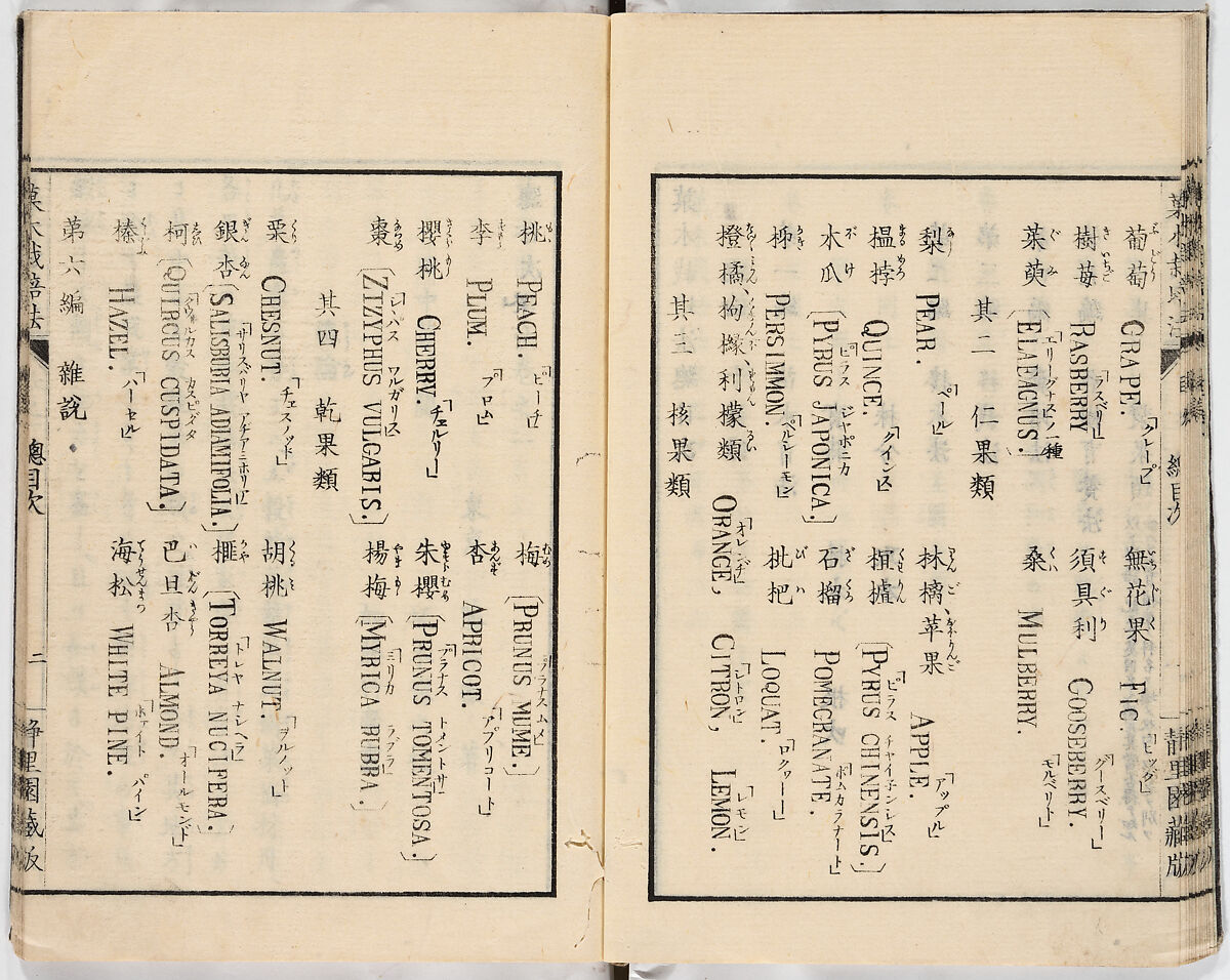 Illustrated book, Ink on paper, Japan