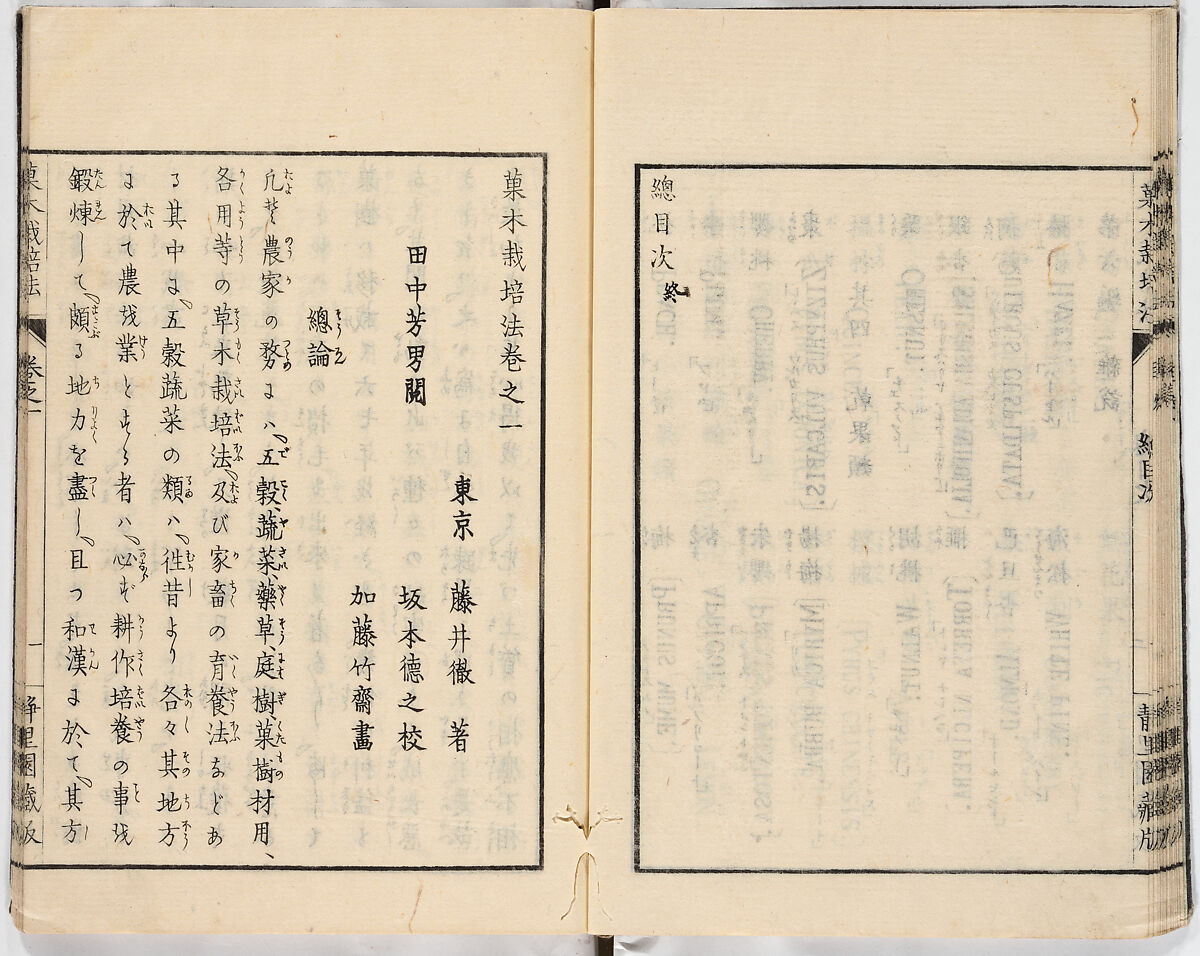 Illustrated book, Ink on paper, Japan