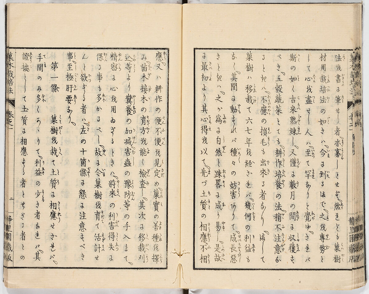 Illustrated book, Ink on paper, Japan