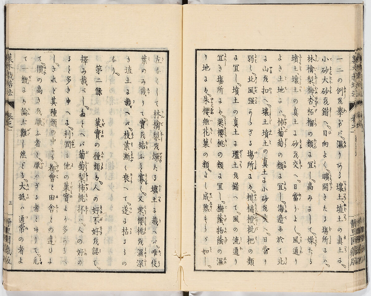 Illustrated book, Ink on paper, Japan