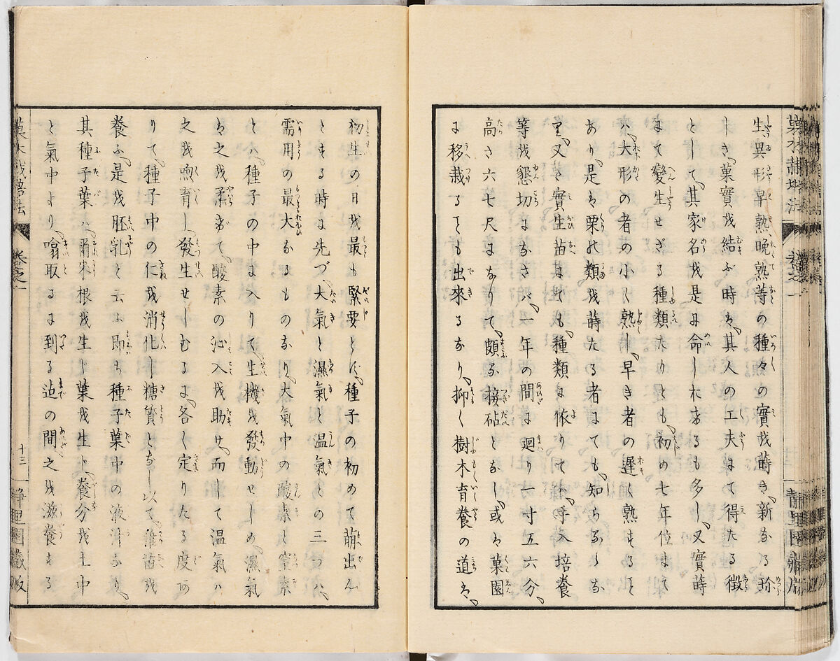 Illustrated book, Ink on paper, Japan