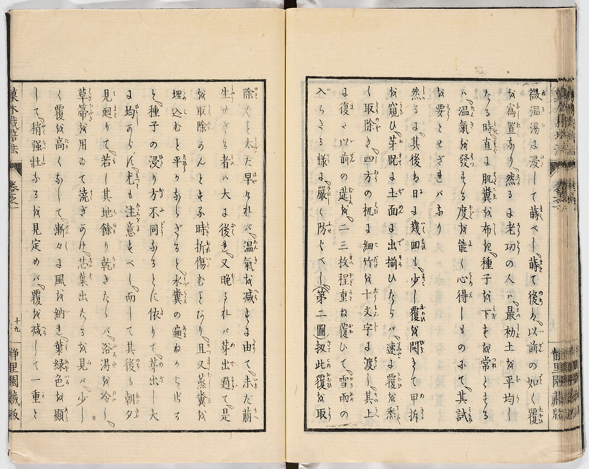 Illustrated book, Ink on paper, Japan