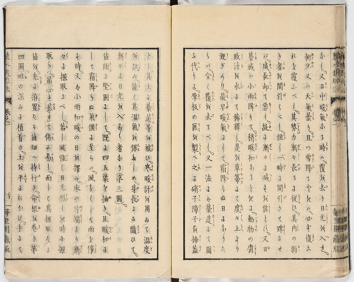 Illustrated book, Ink on paper, Japan