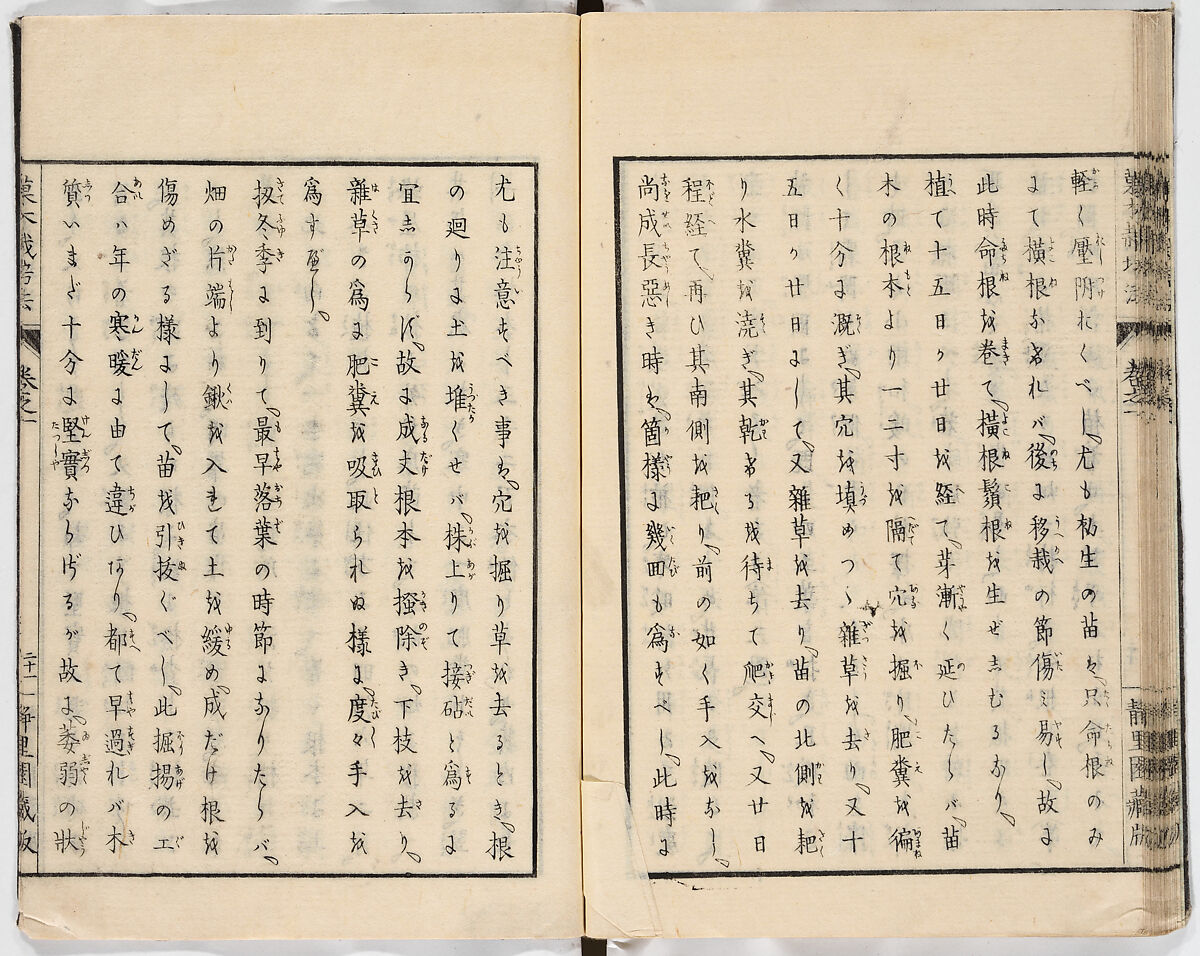 Illustrated book, Ink on paper, Japan