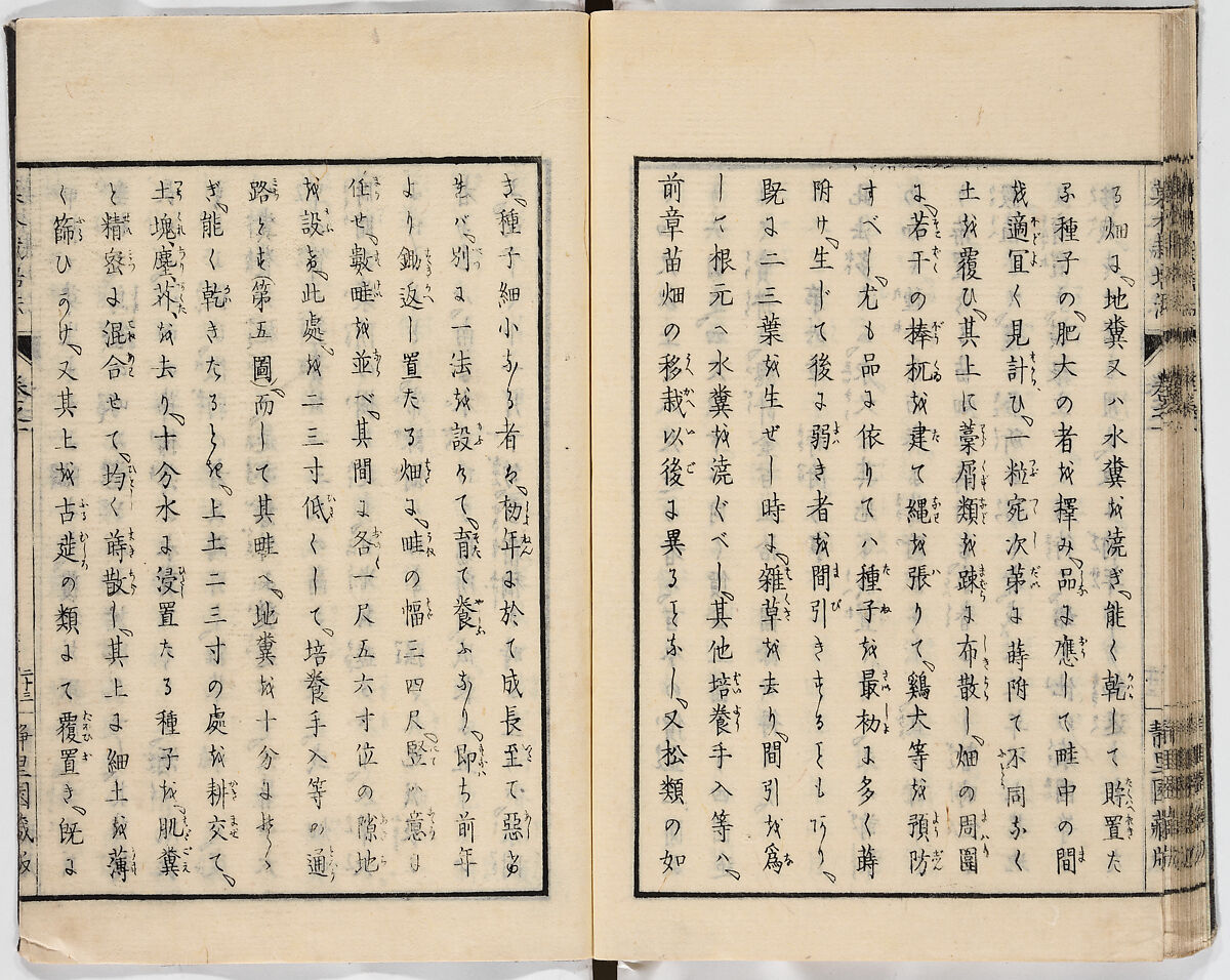 Illustrated book, Ink on paper, Japan