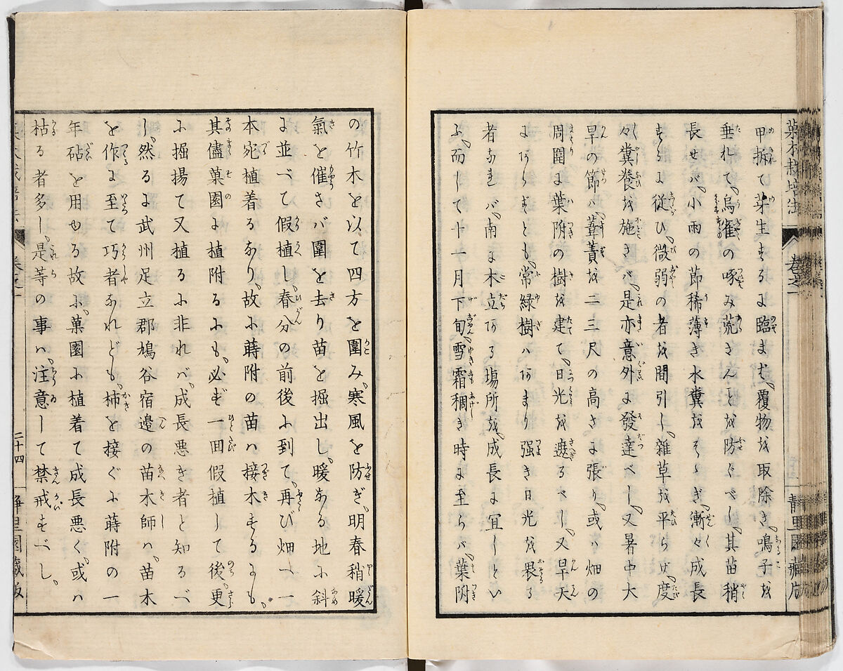 Illustrated book, Ink on paper, Japan