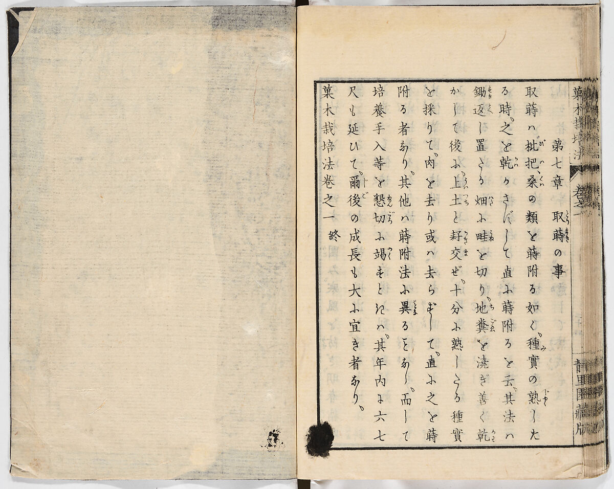 Illustrated book, Ink on paper, Japan