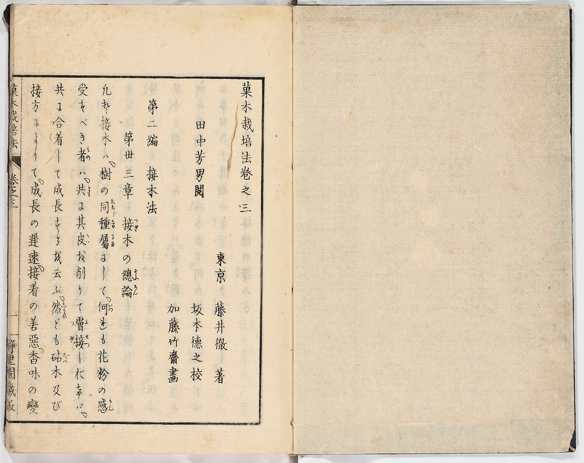 Illustrated book, Ink on paper, Japan