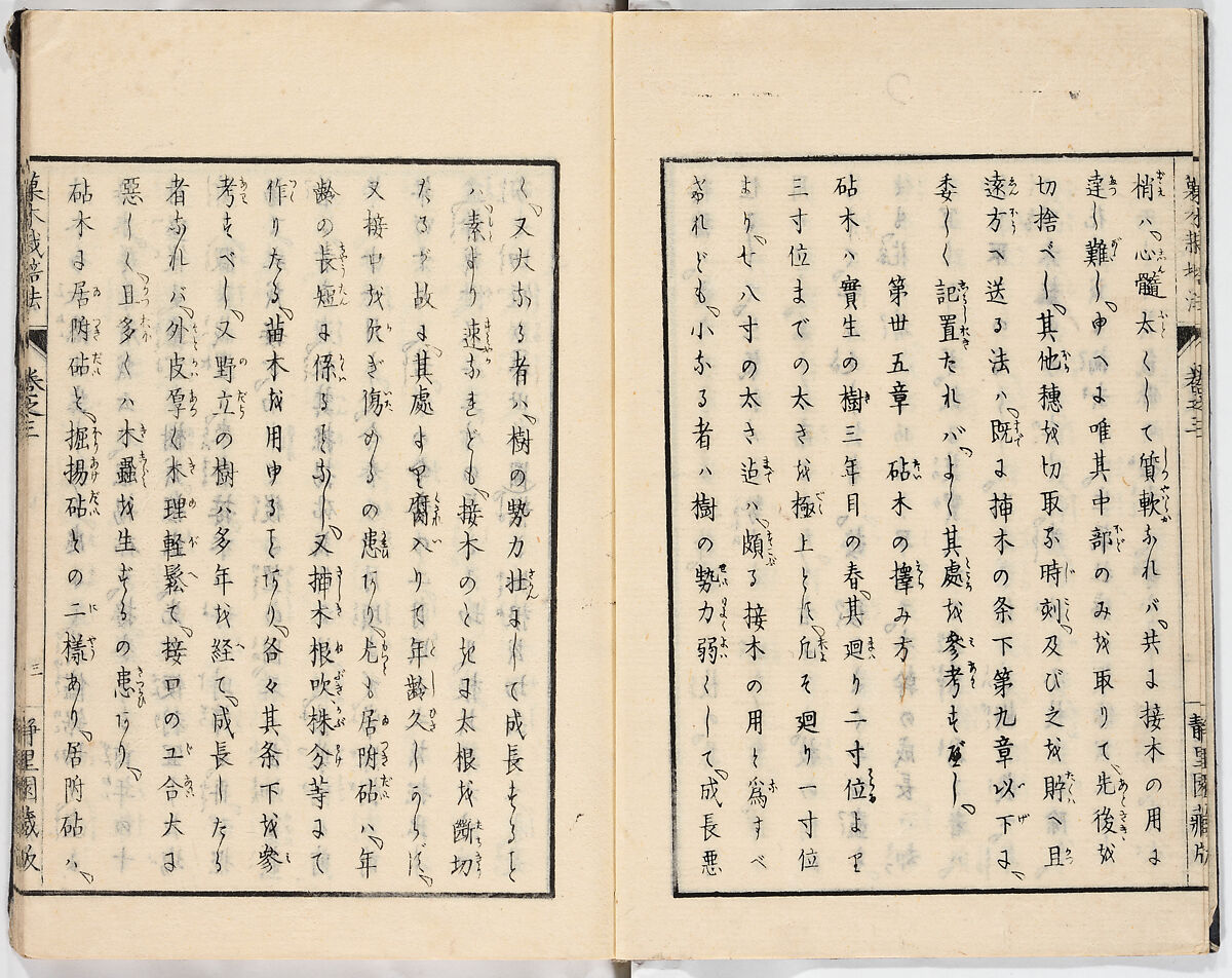 Illustrated book, Ink on paper, Japan