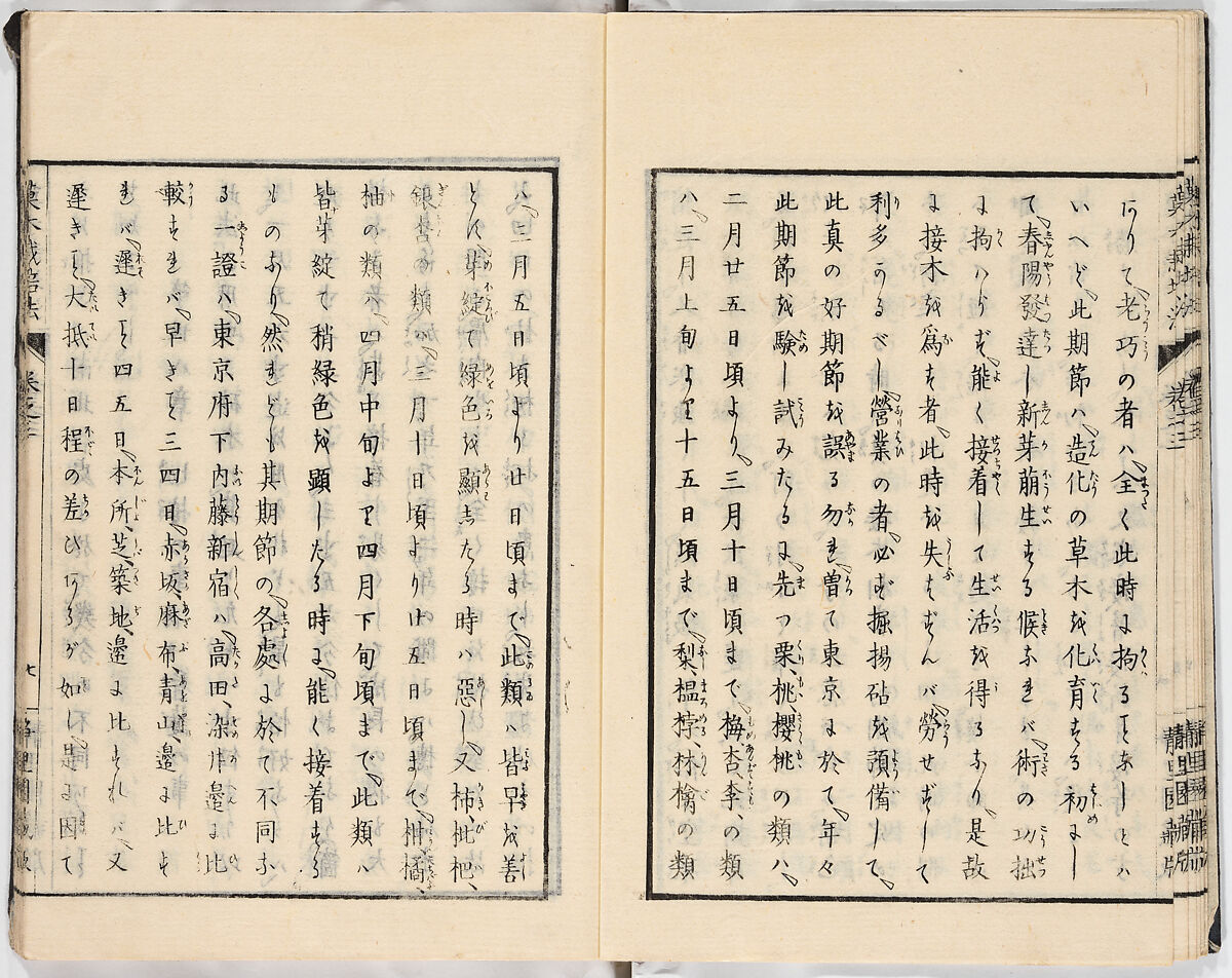 Illustrated book, Ink on paper, Japan