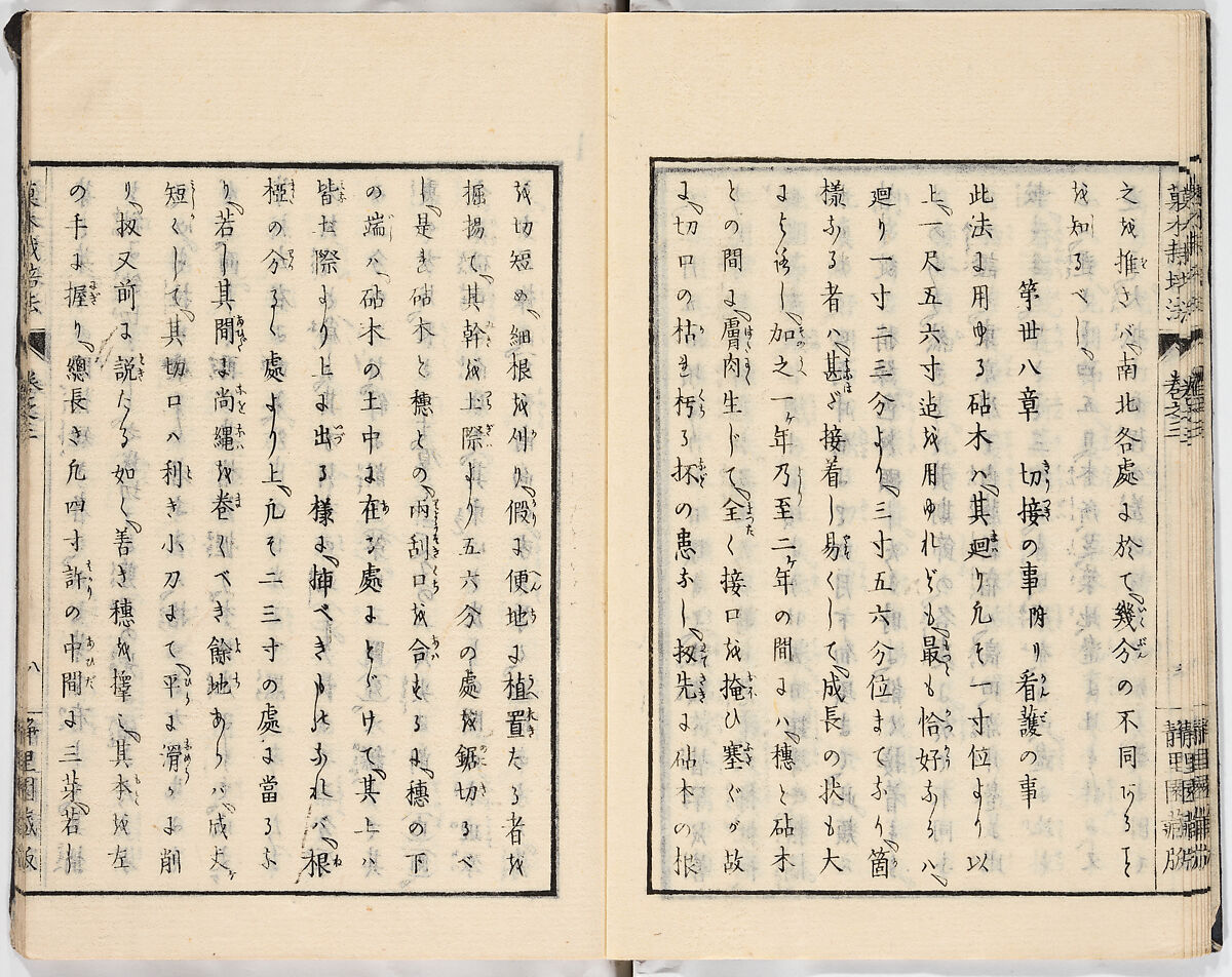 Illustrated book, Ink on paper, Japan