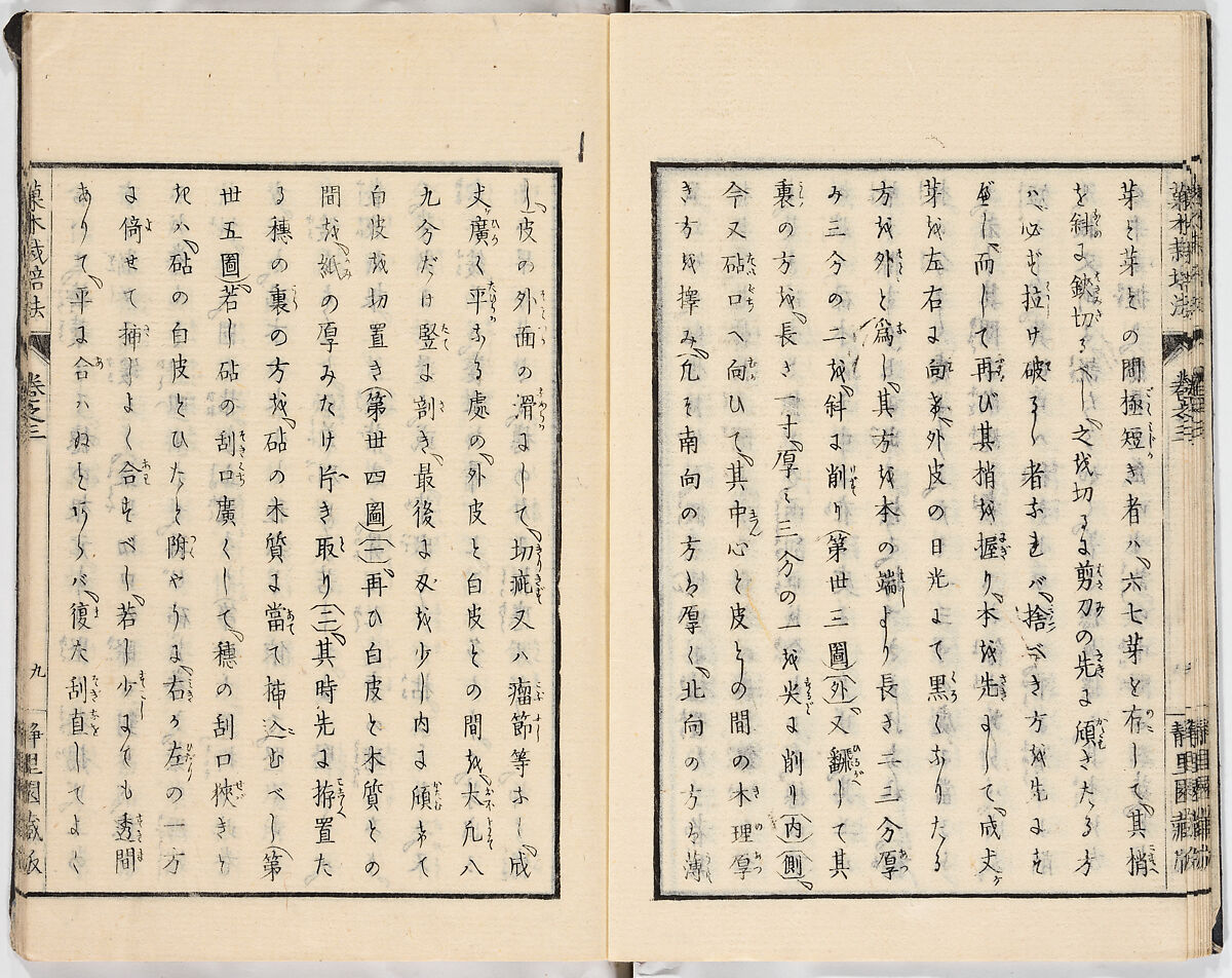 Illustrated book, Ink on paper, Japan