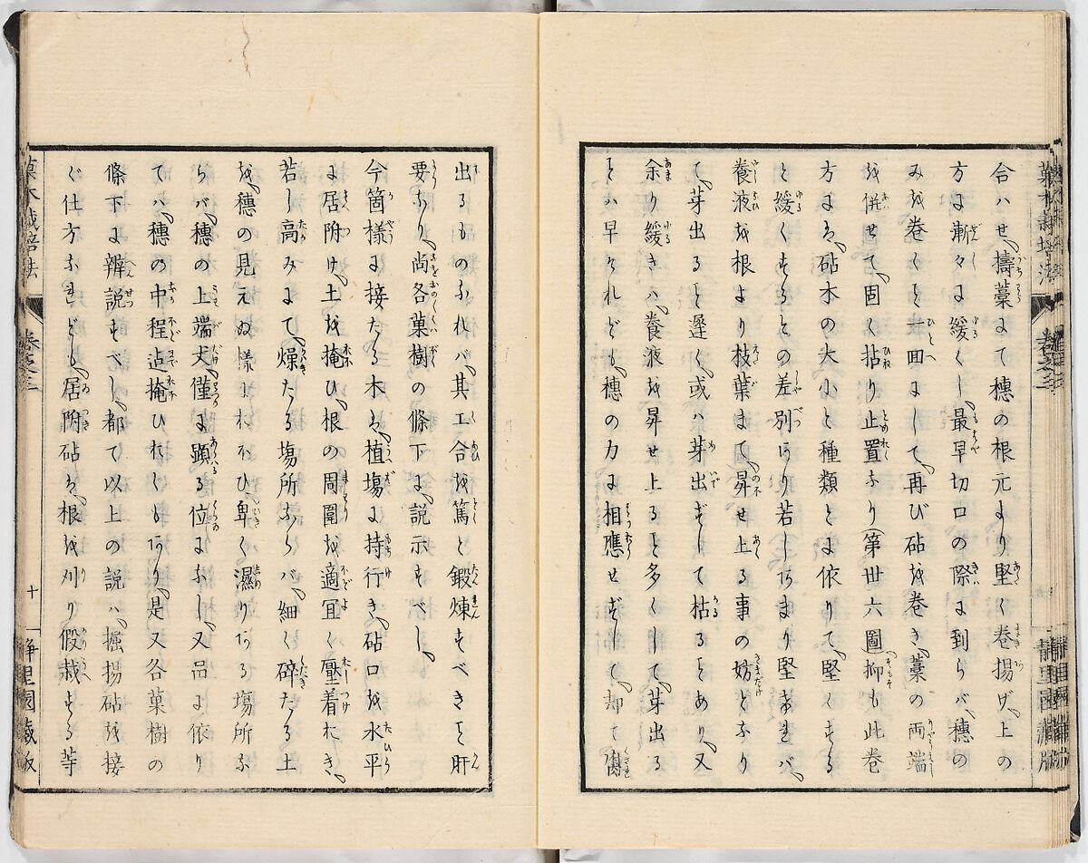 Illustrated book, Ink on paper, Japan