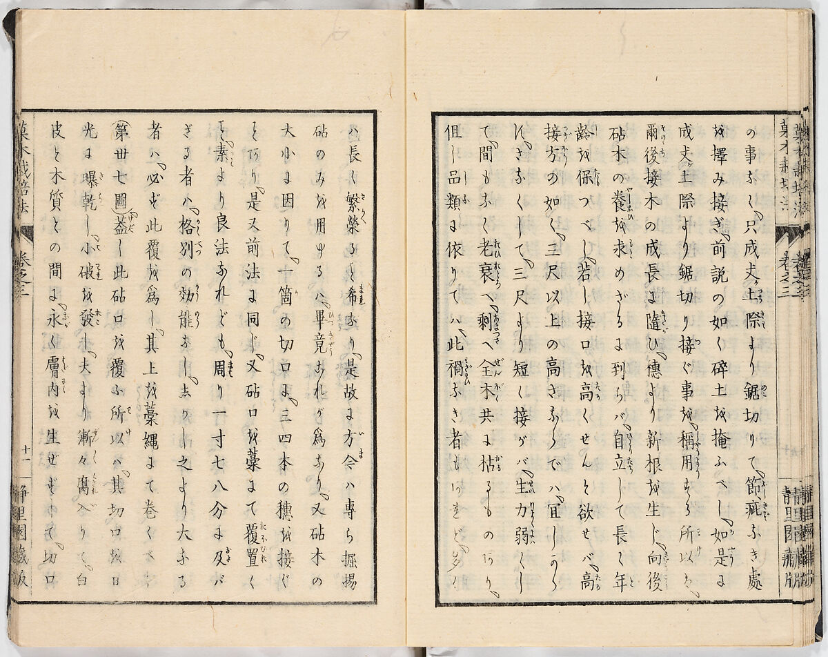 Illustrated book, Ink on paper, Japan