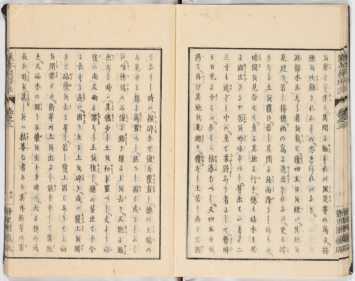 Illustrated book, Ink on paper, Japan