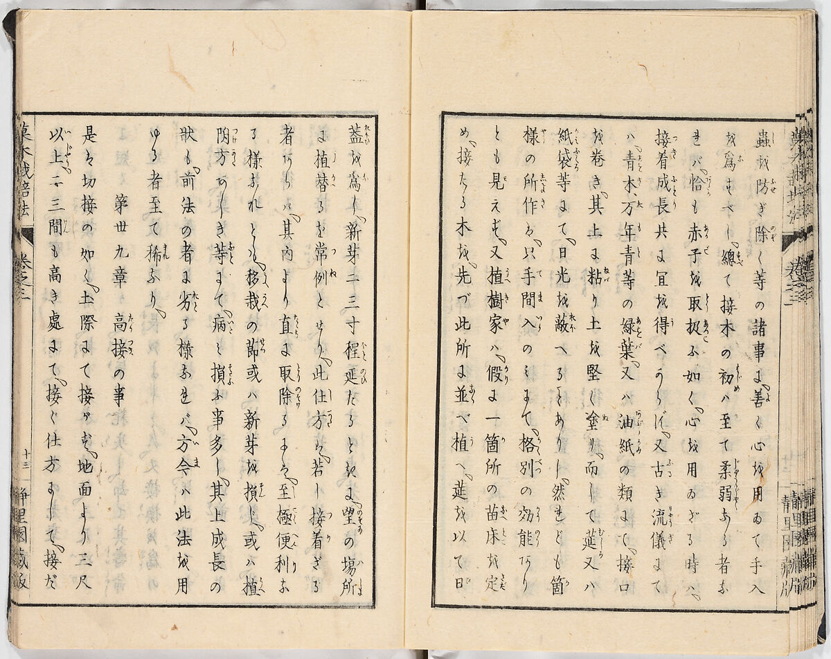 Illustrated book, Ink on paper, Japan