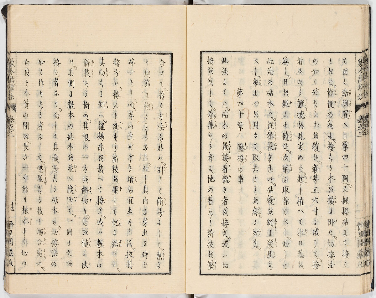 Illustrated book, Ink on paper, Japan