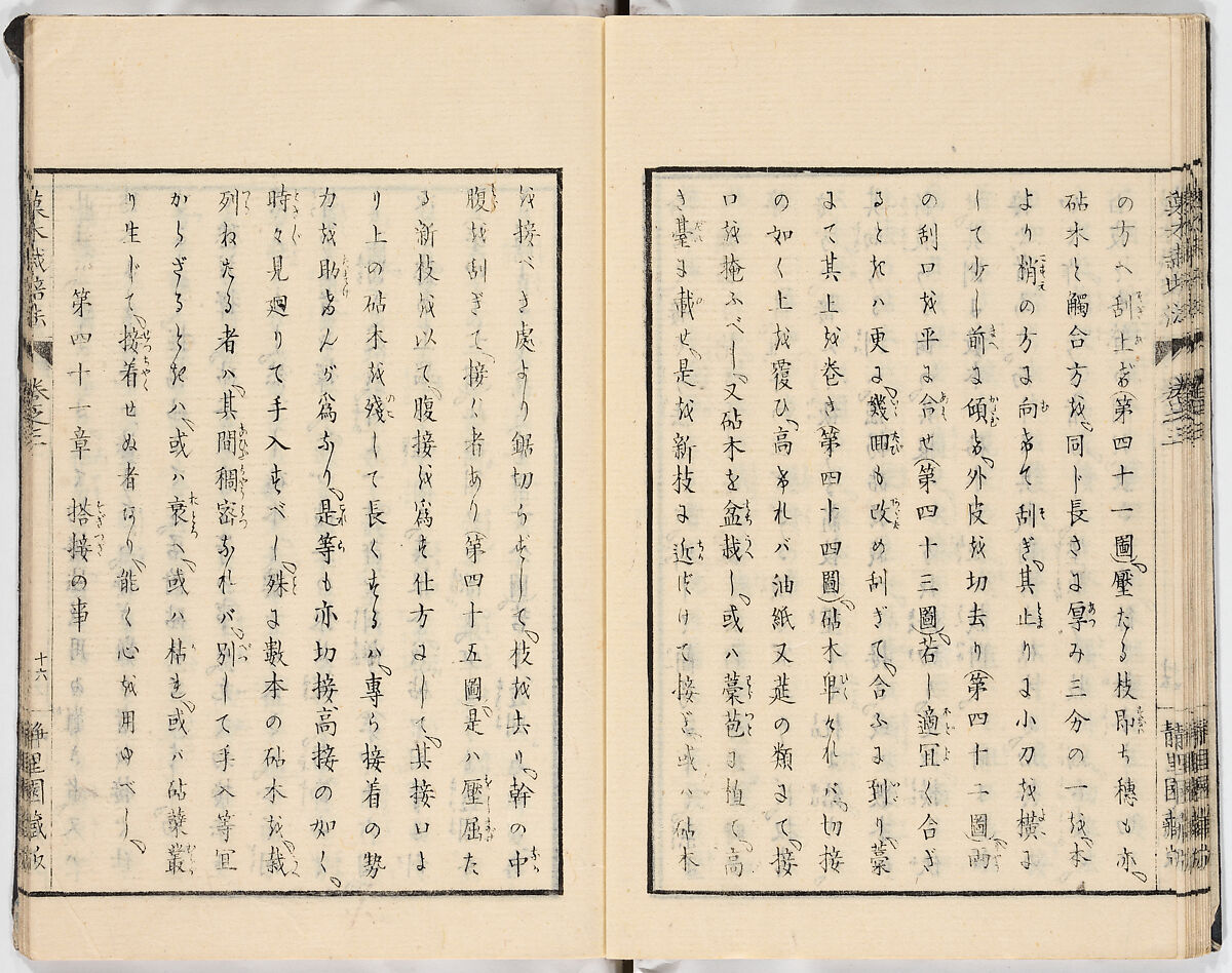 Illustrated book, Ink on paper, Japan