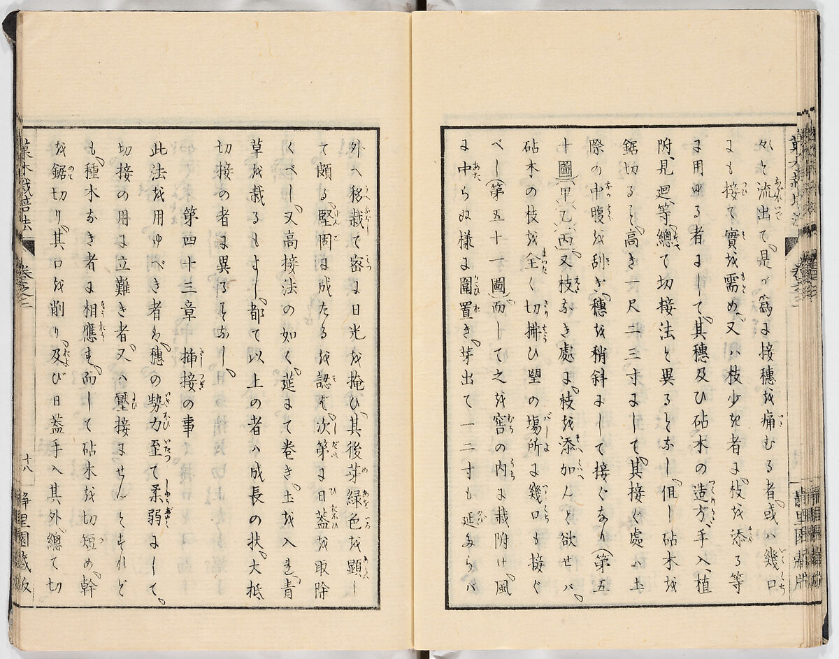 Illustrated book, Ink on paper, Japan