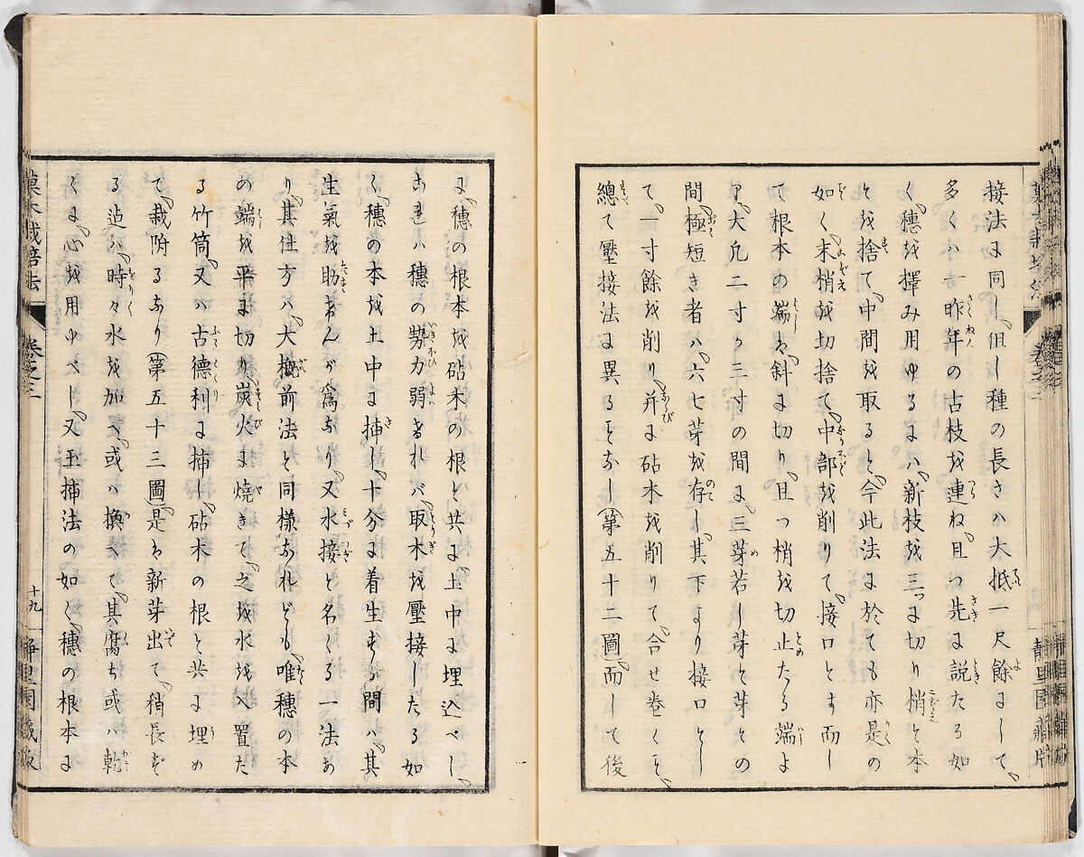 Illustrated book, Ink on paper, Japan