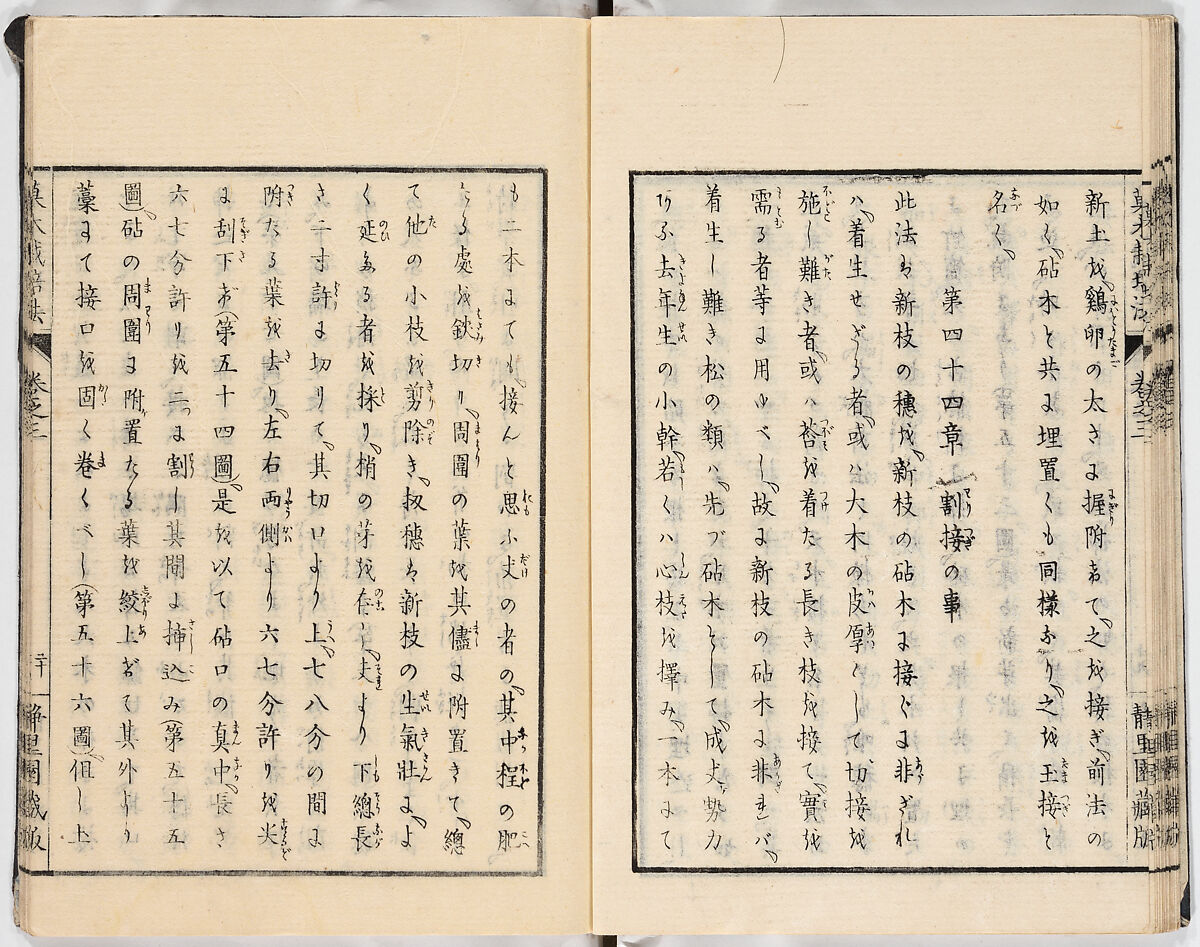 Illustrated book, Ink on paper, Japan