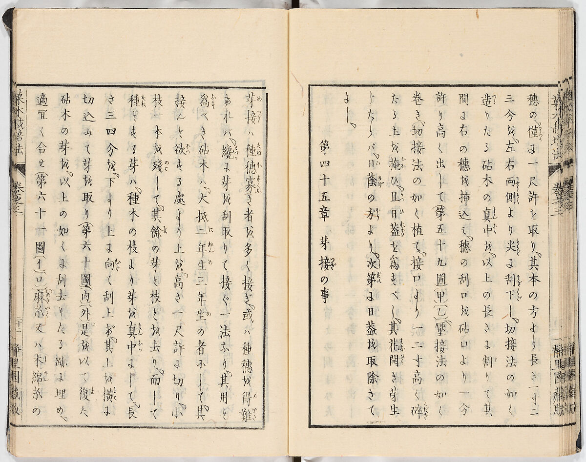 Illustrated book, Ink on paper, Japan