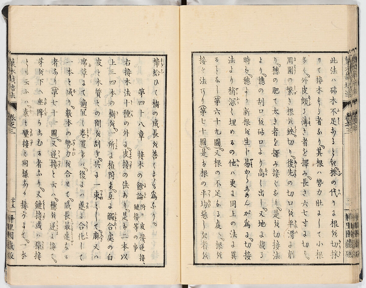 Illustrated book, Ink on paper, Japan