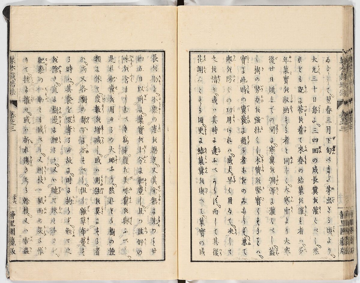 Illustrated book, Ink on paper, Japan