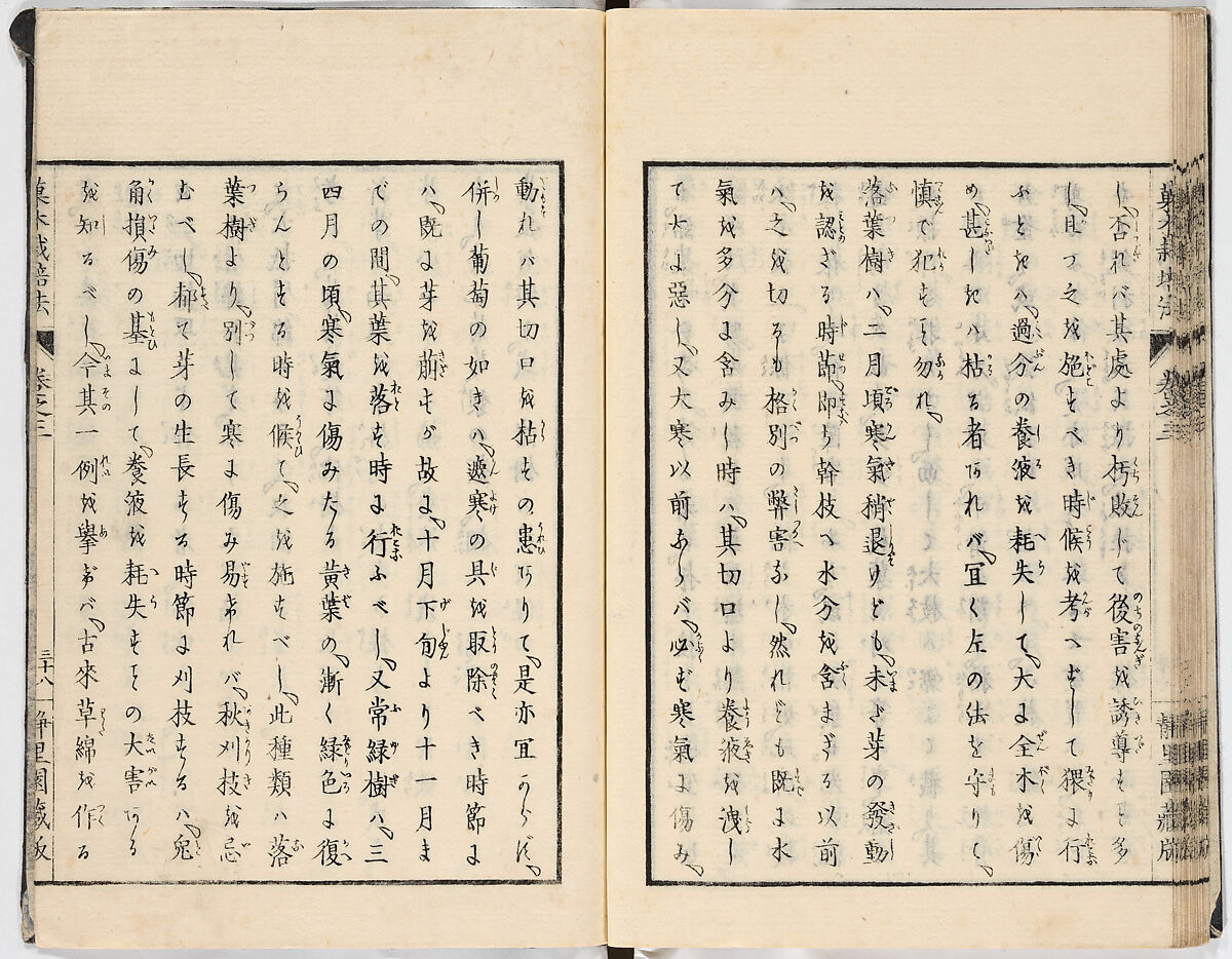 Illustrated book, Ink on paper, Japan