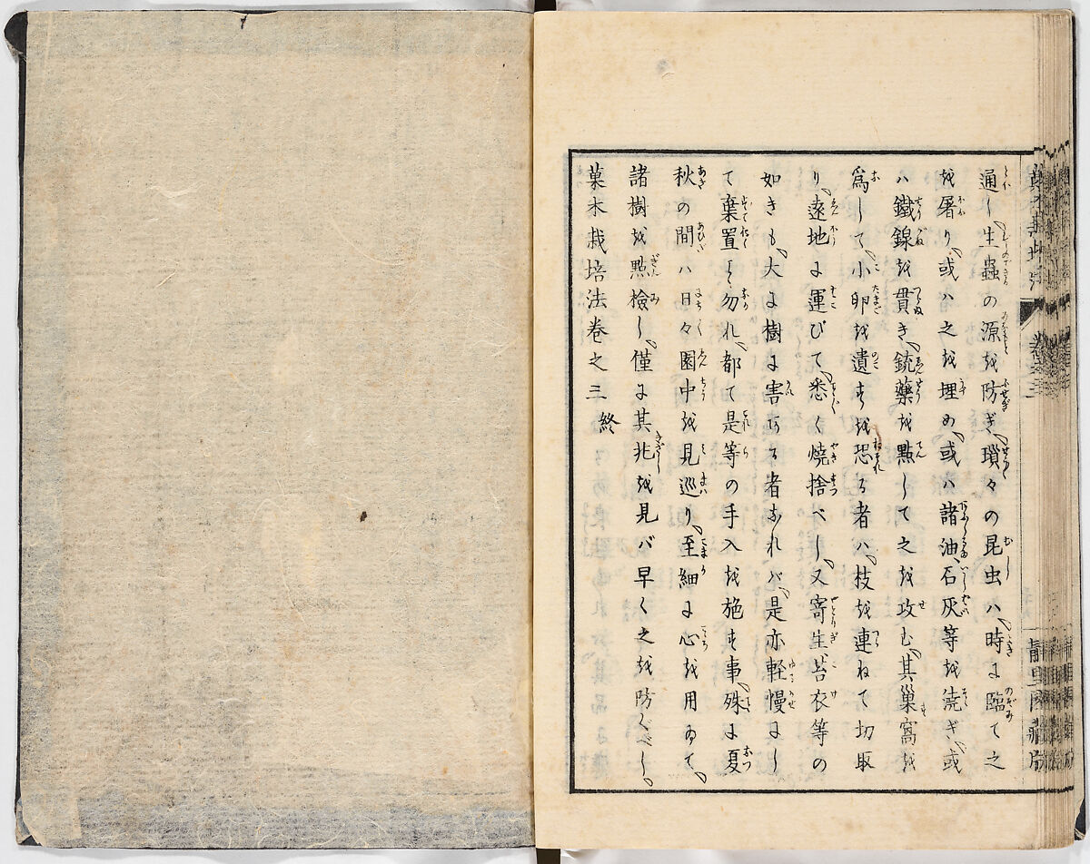 Illustrated book, Ink on paper, Japan