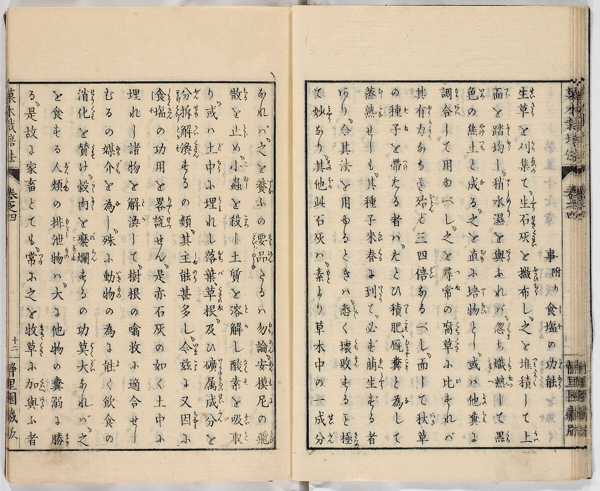 Illustrated book, Ink on paper, Japan