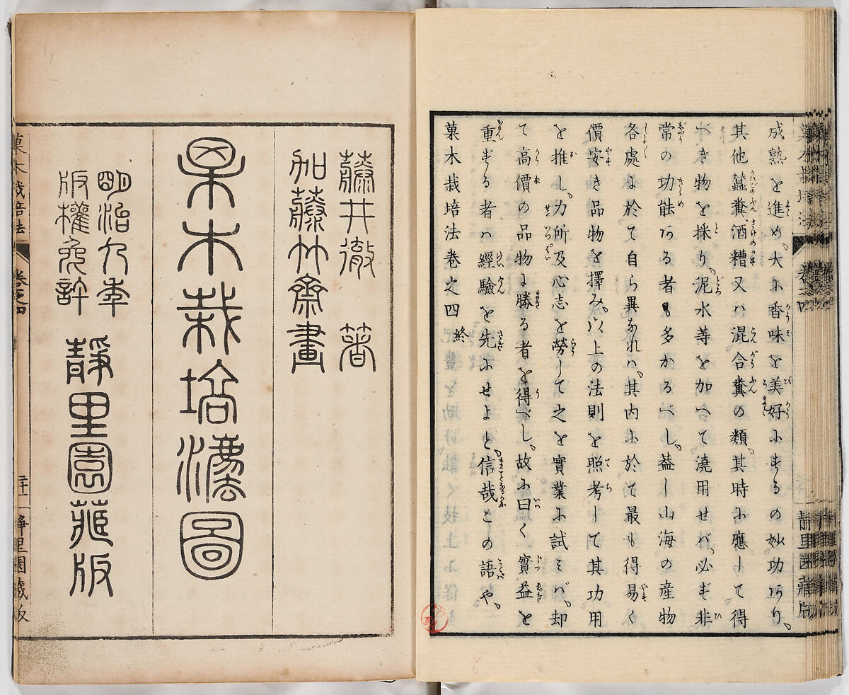 Illustrated book, Ink on paper, Japan