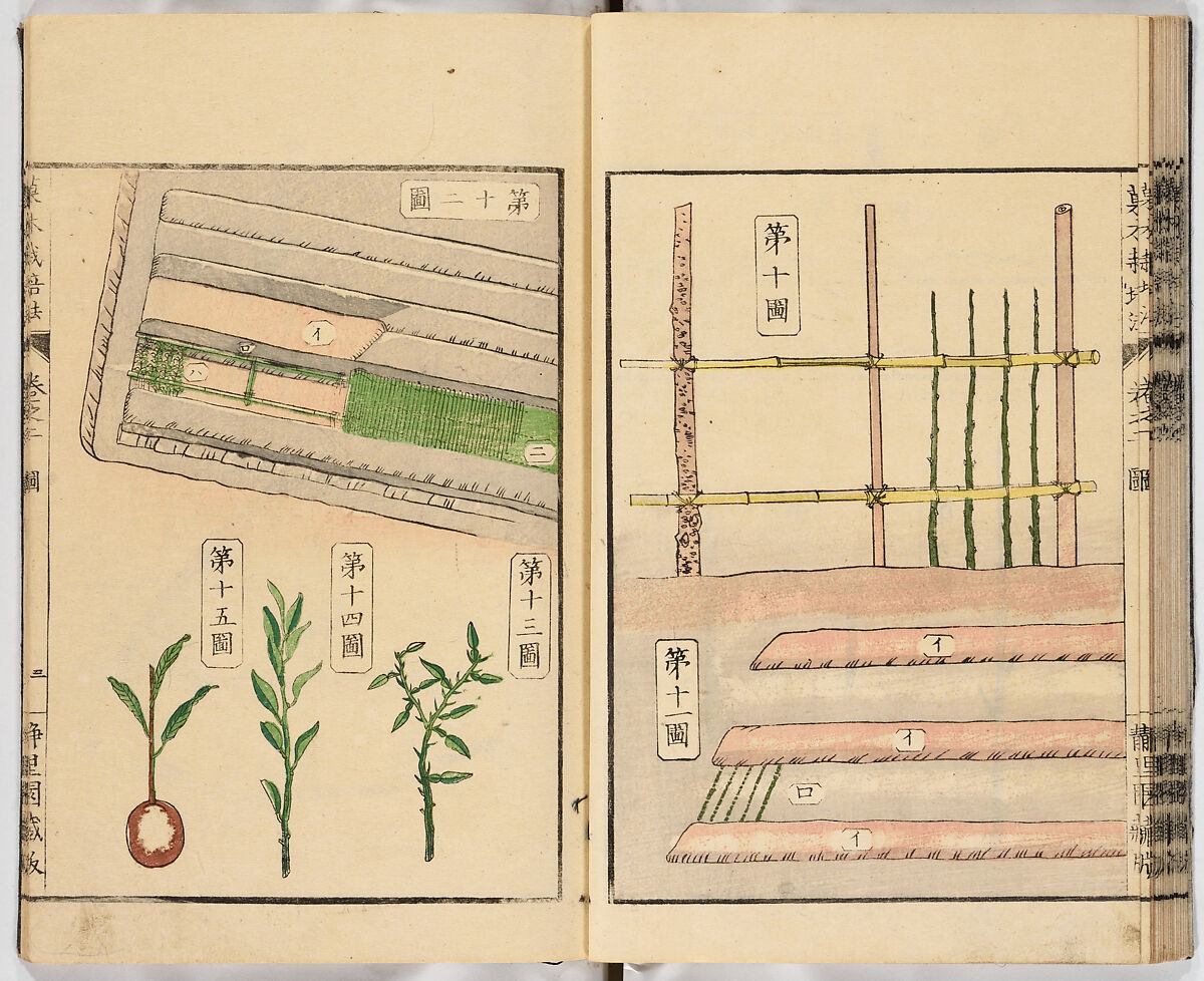 Illustrated book, Ink on paper, Japan