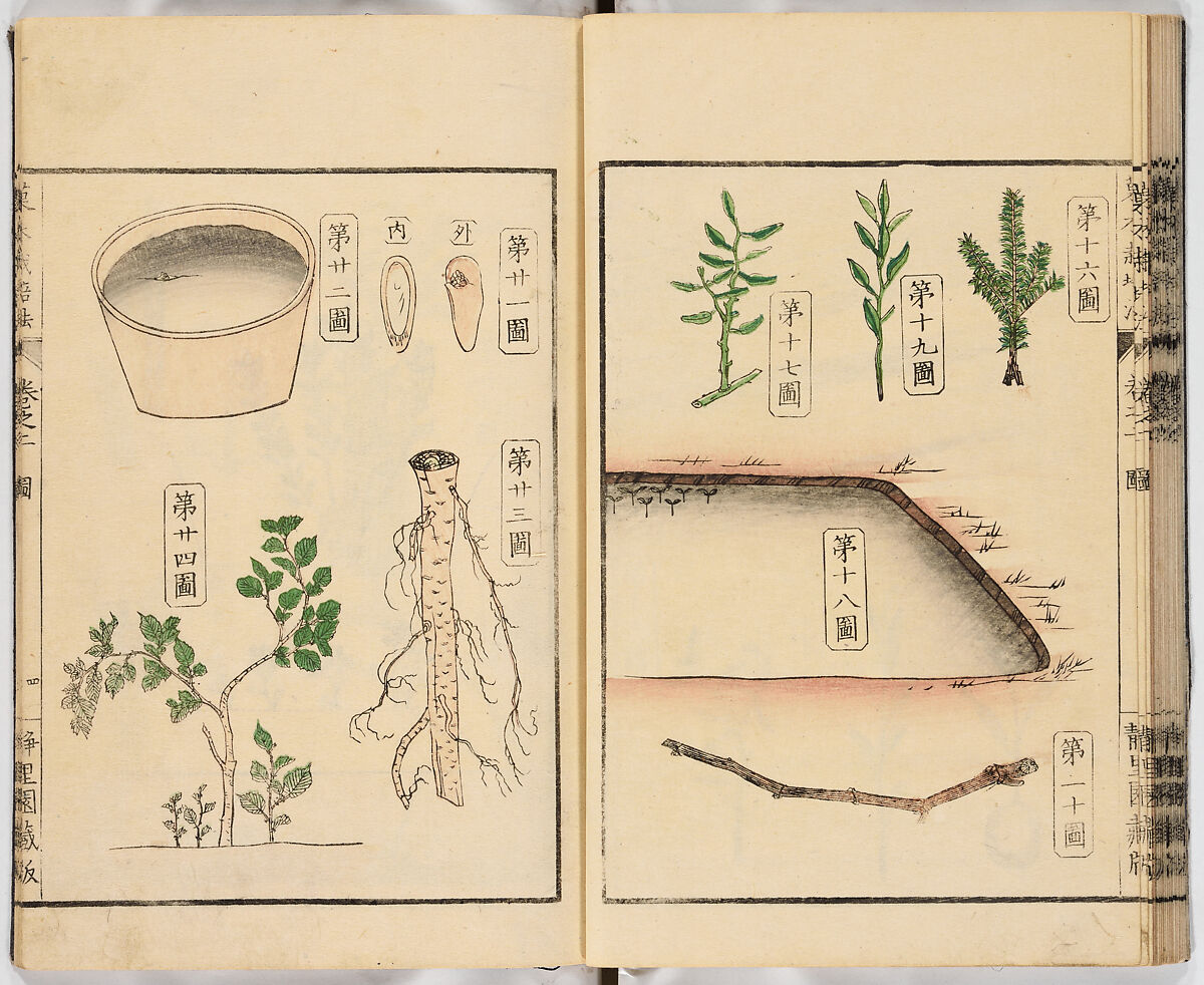 Illustrated book, Ink on paper, Japan