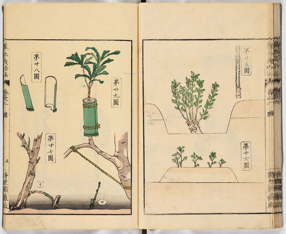 Illustrated book, Ink on paper, Japan