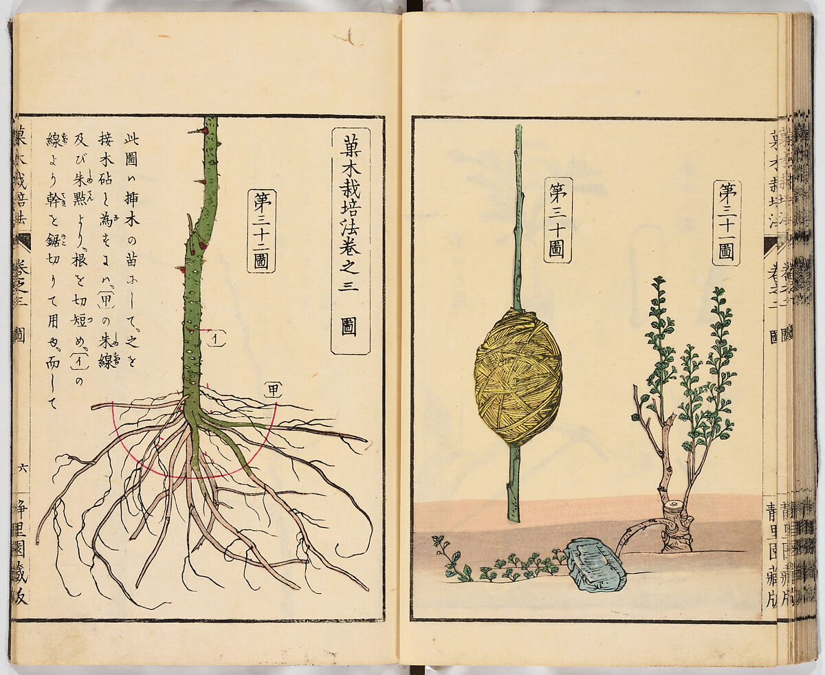 Illustrated book, Ink on paper, Japan