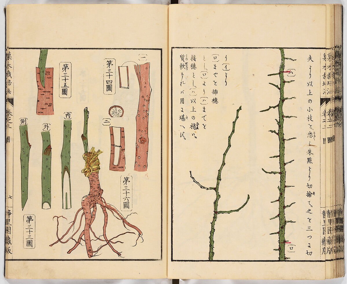 Illustrated book, Ink on paper, Japan