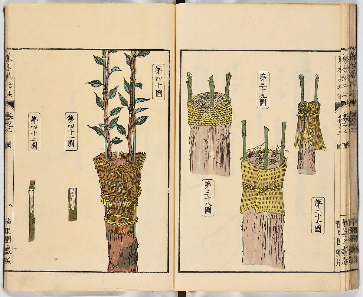 Illustrated book, Ink on paper, Japan