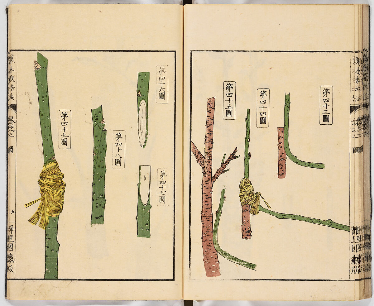 Illustrated book, Ink on paper, Japan