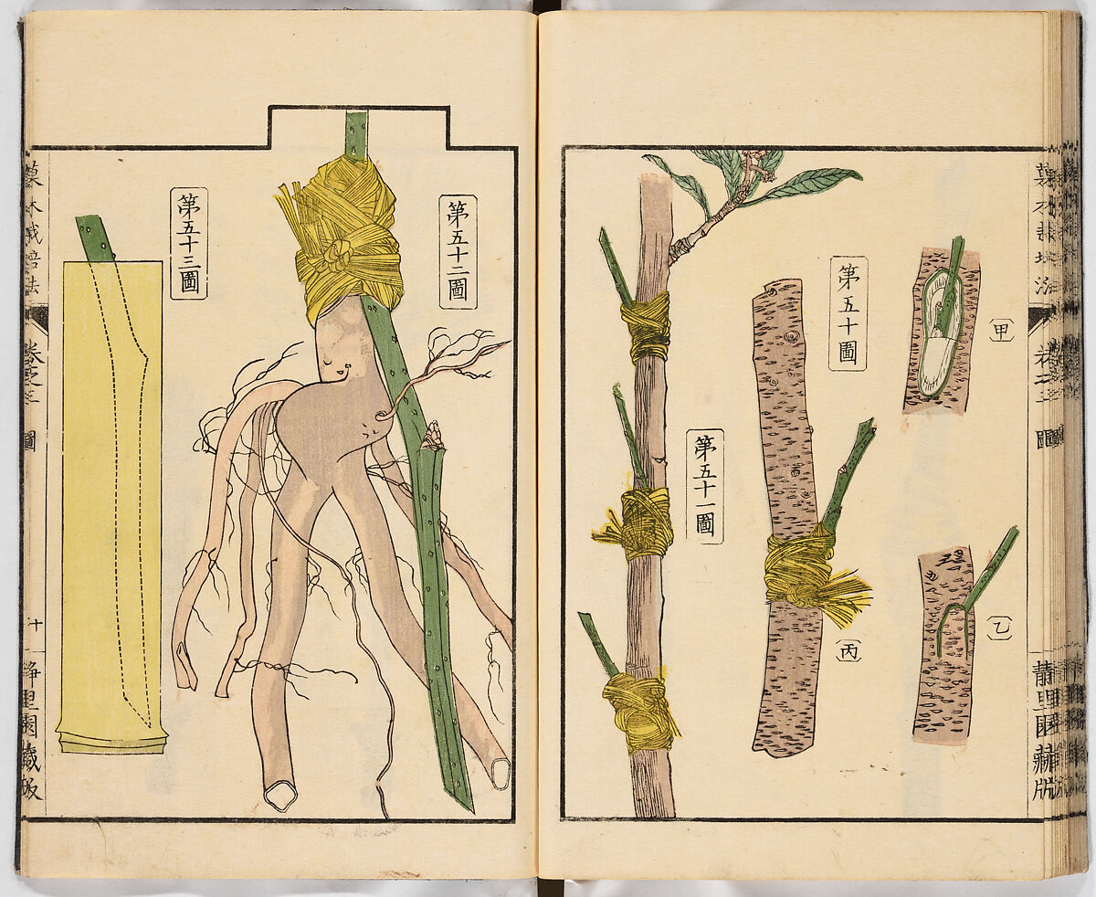 Illustrated book, Ink on paper, Japan