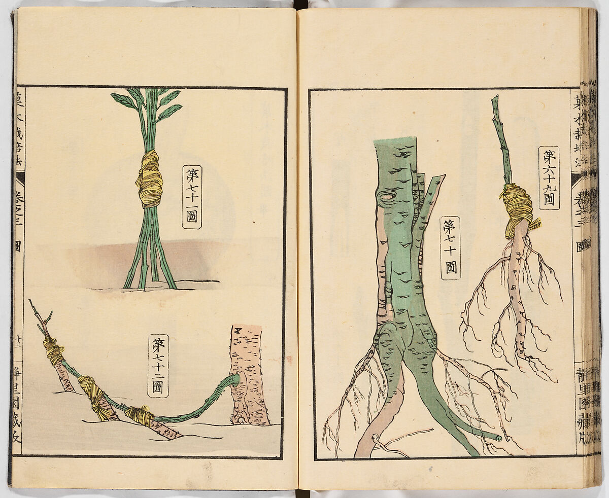 Illustrated book, Ink on paper, Japan