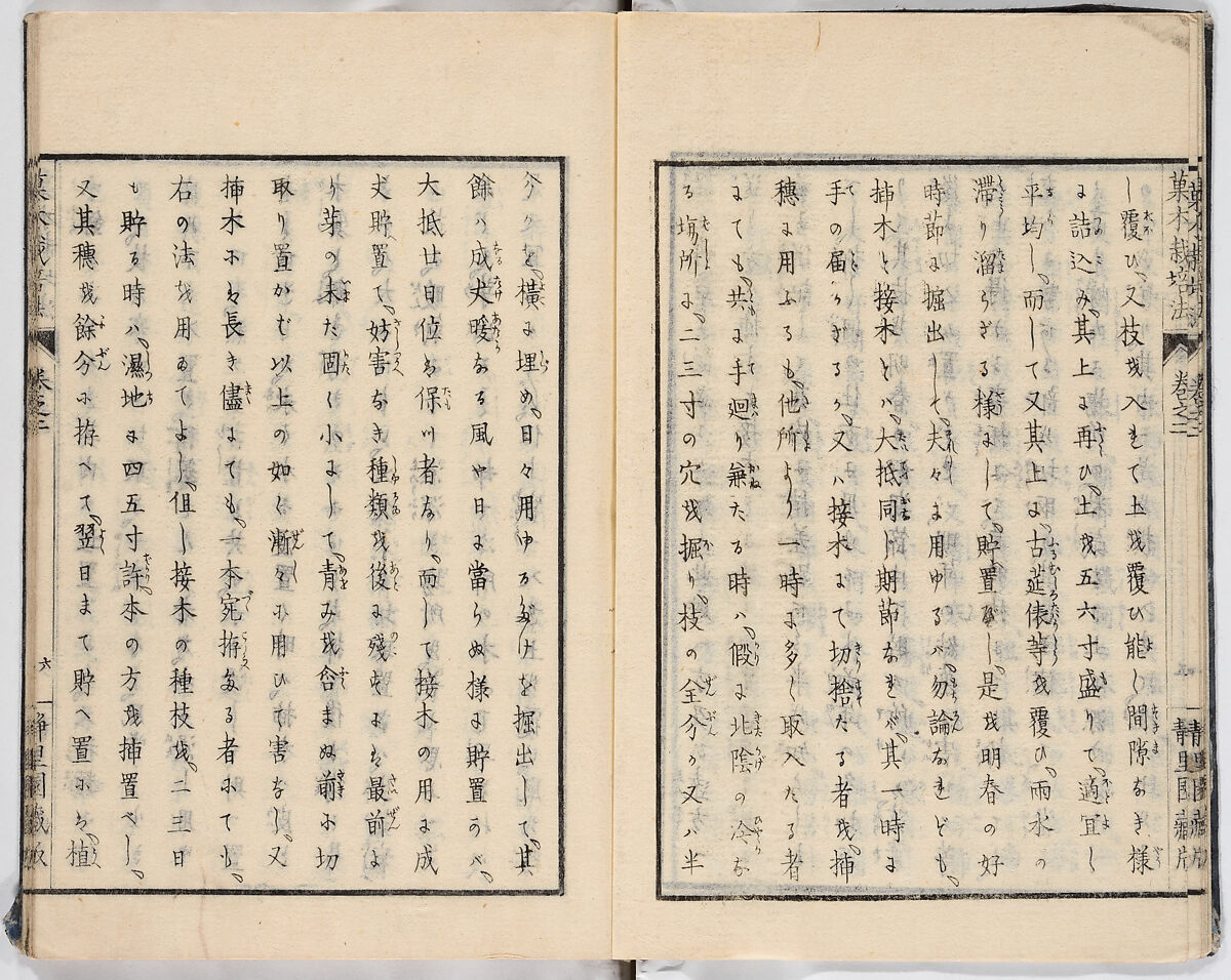 Illustrated book, Ink on paper, Japan