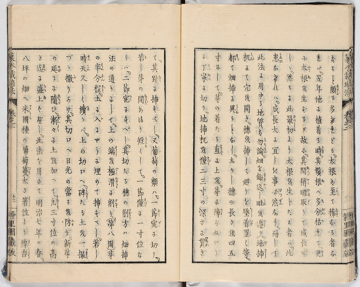 Illustrated book, Ink on paper, Japan