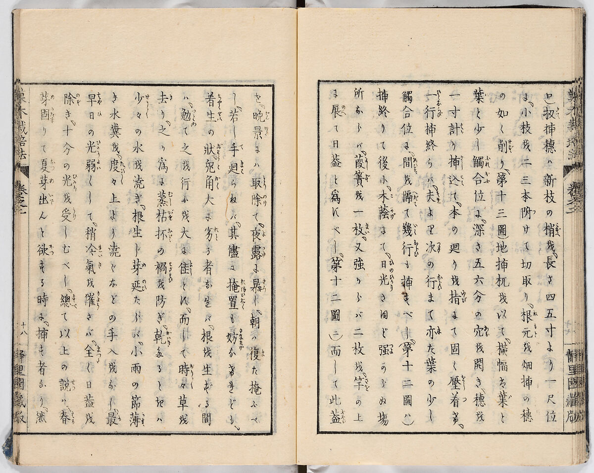 Illustrated book, Ink on paper, Japan