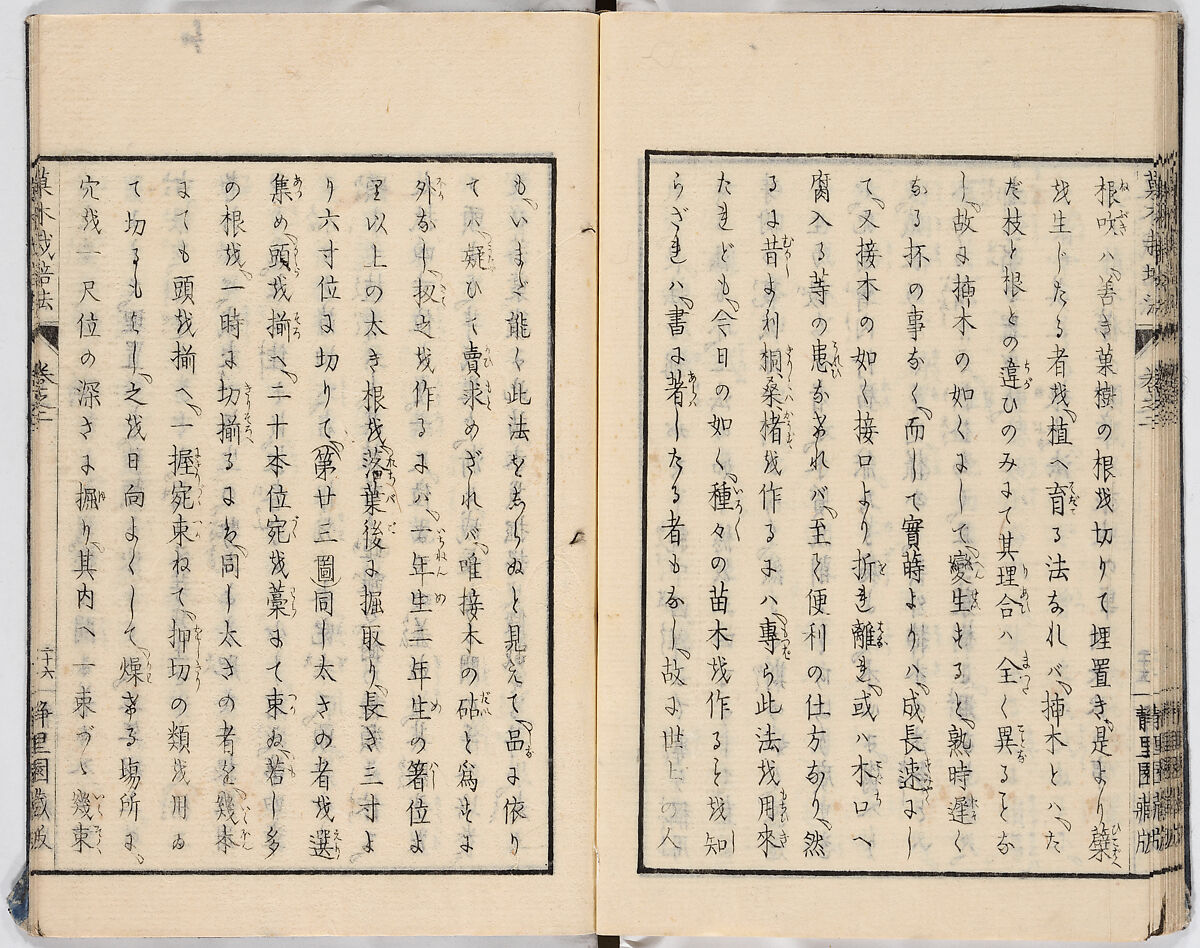 Illustrated book, Ink on paper, Japan