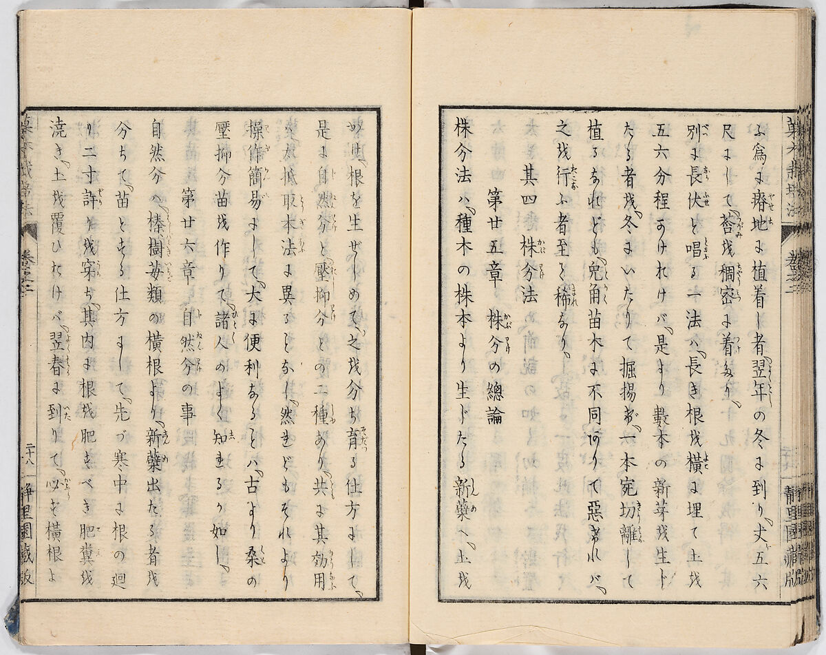 Illustrated book, Ink on paper, Japan