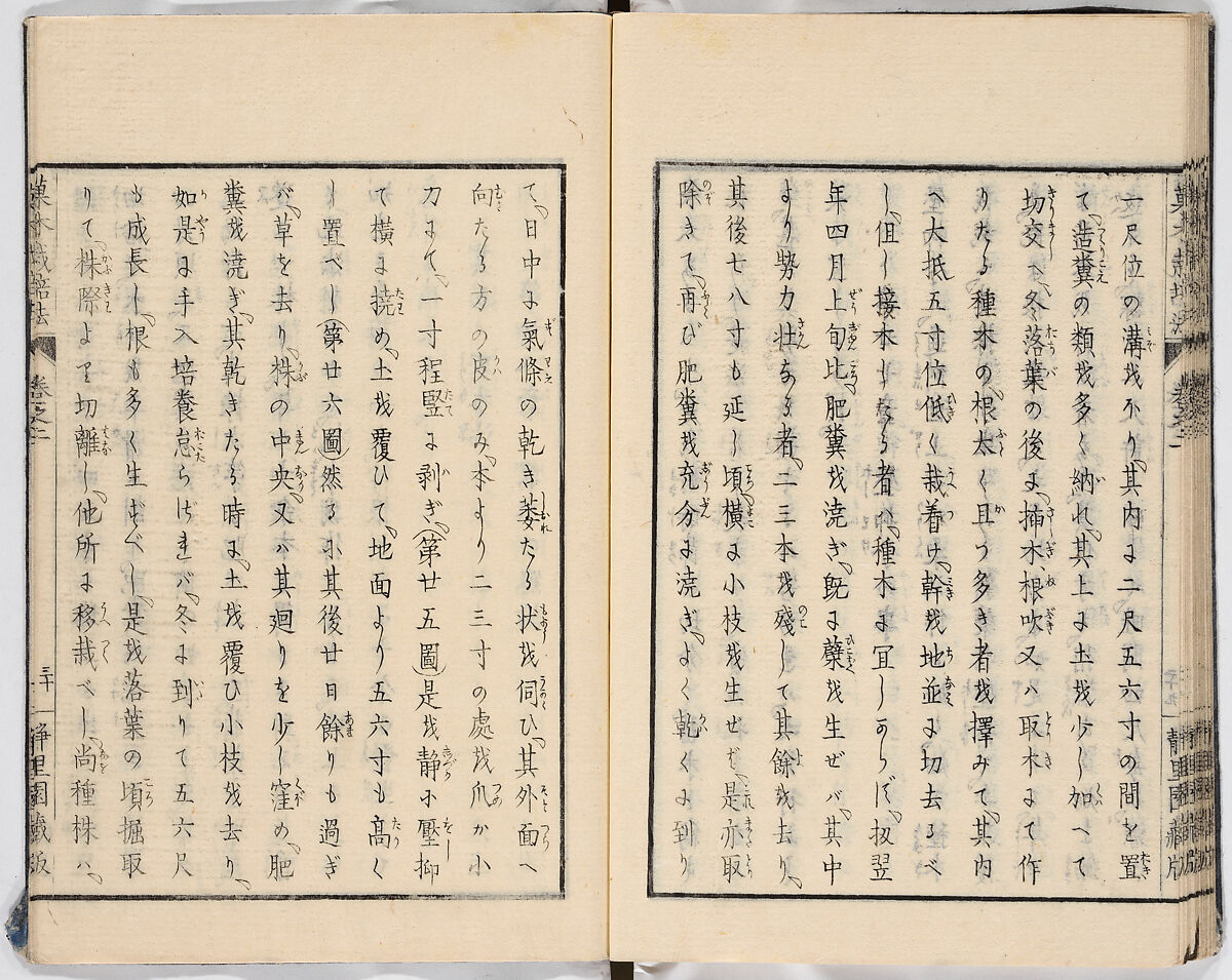 Illustrated book, Ink on paper, Japan