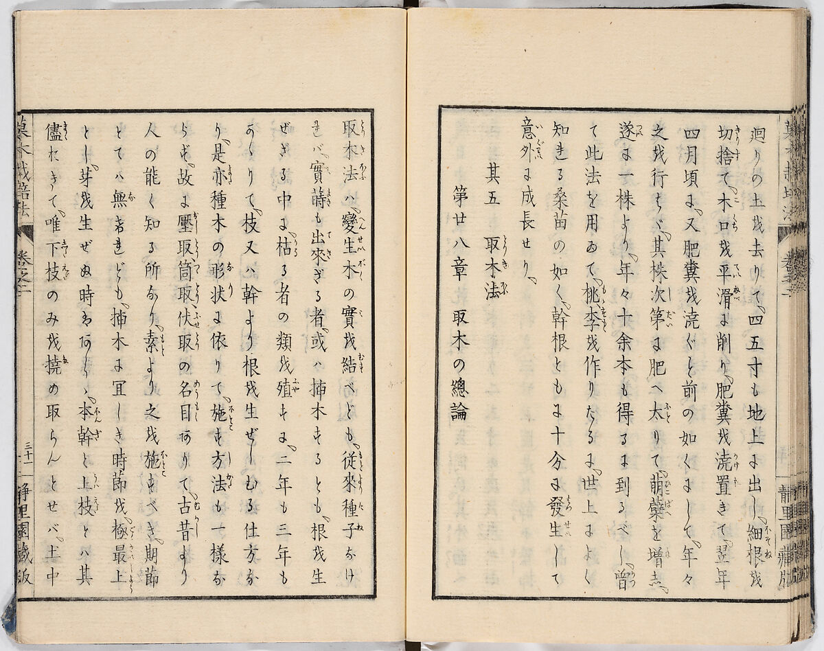 Illustrated book, Ink on paper, Japan