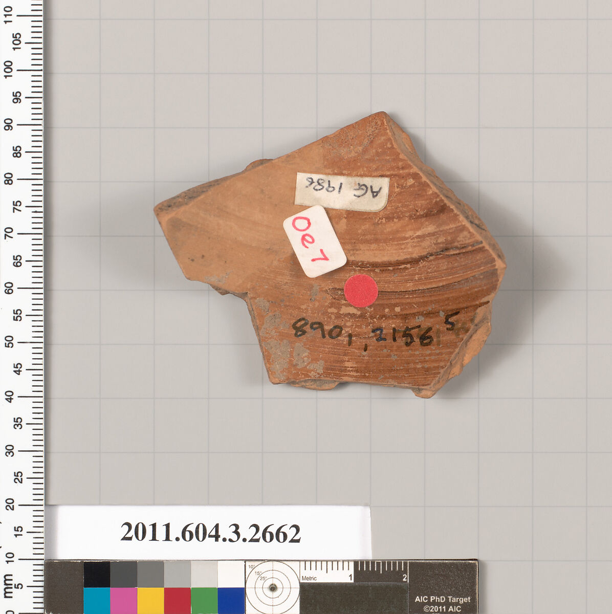 Terracotta fragment of an oinochoe (jug), Terracotta, Greek, Attic